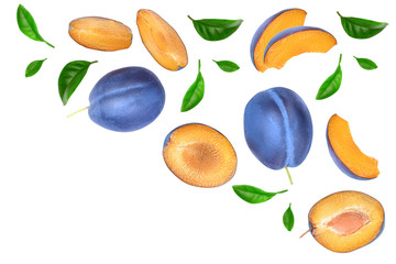 fresh blue plum and half with leaves isolated on white background with copy space for your text. Top view. Flat lay