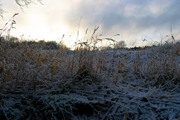 Frozen field in sunrise