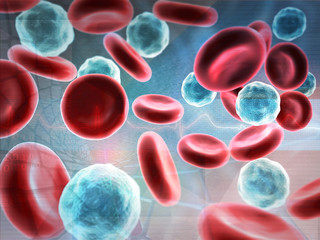 Red and white blood cells. 3d illustration