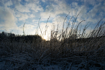 Winter field in sunrise