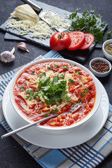 close-up of chicken lasagna soup, top view