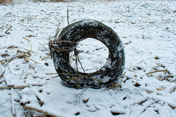 Frozen wheel in field