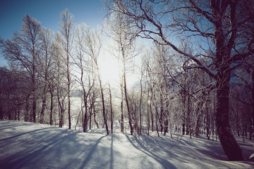 beautiful Norwegian landscape