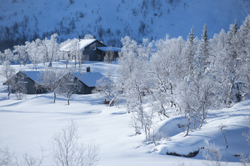 traditional norwegian wooden house