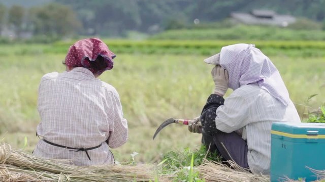 老人が農作業の合間に休憩をしながら話をする