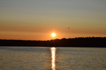 Fototapeta premium sunrise on lake