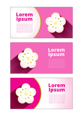 banner background pink white gold sakura with polka dot for text and picture template vector design