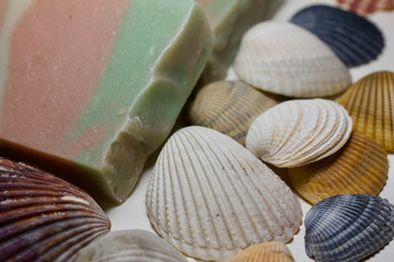 Close up view of isolated handmade bars of soap surrounded with natural sea shells on white background