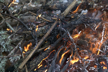 Burning pieces of wood. Camp Fire
