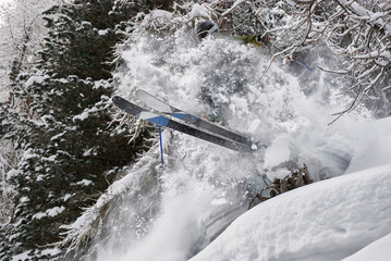 skier in the powder snow