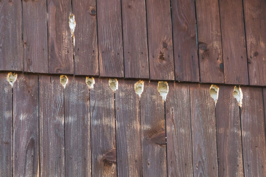 Woodpecker damaged building facade