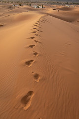 Footprints in the sahara desert sand. Morocco