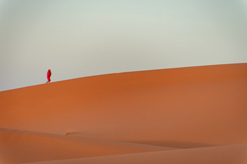 Fototapeta na wymiar Person walking through the dunes of the Sahara desert. Morocco