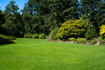 Beautiful trees and green grass in the garden. lawn in the garden. - Powered by Adobe
