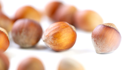 Hazelnuts nuts isolated on a white background