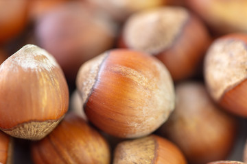 Hazelnuts as a background