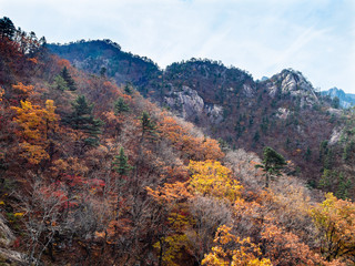 colorful mountain slope in Seoraksan National Park