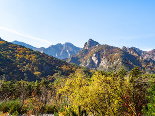 overgrown riverbank in mountains in Seoraksan