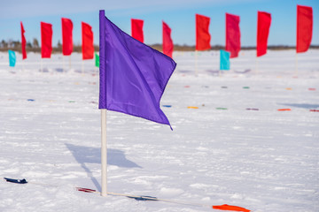 Flags in the snow at ski competitions.