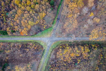 Drone photo of crossroads in forest in Wiaczyn landscape park near Lodz city, Poland