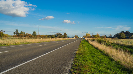 Fototapeta premium road in countryside of North Island of New Zealand