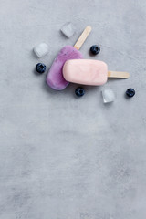 Yogurt fruit ice cream with blueberry on a gray background. Copy space. Diet concept.