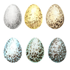 Watercolor hand drawn Easter eggs set. Colorful collection of different wild birds eggs isolated on a white background. Chickens egg shell Symbols of Easter celebration. Illustration Design concept