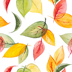Fototapeta premium Hand drawn watercolor seamless pattern with bright orange,yellow,green,red autumn leaves on the white background for your design