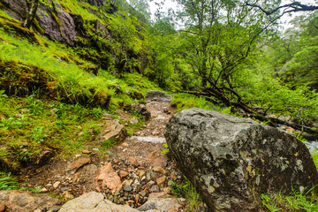 Beautiful scenic landscape of Scotland nature.