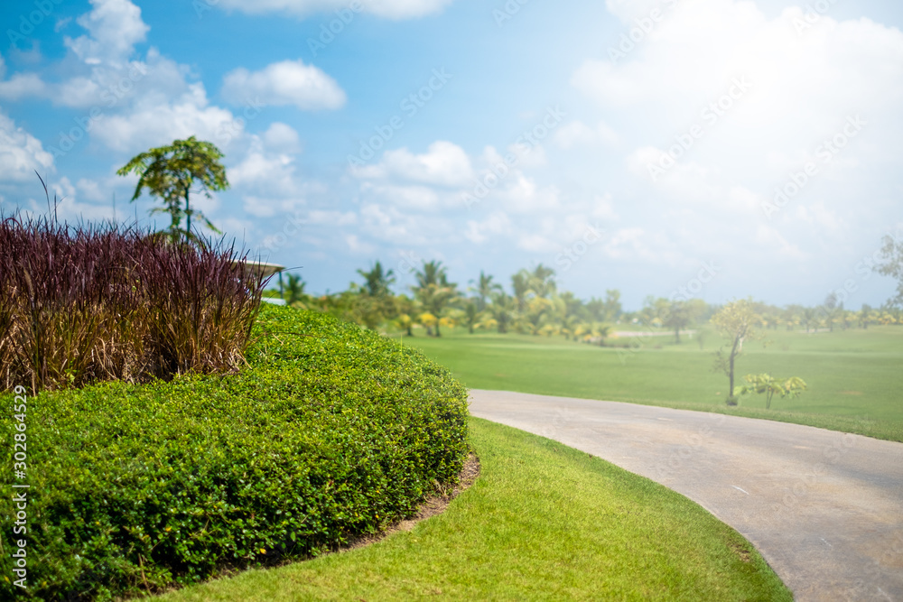 Wall mural concrete footpath with blue sky and white clouds background in golf course