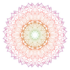 Floral decorative mandala. Spring style. Vector illustration