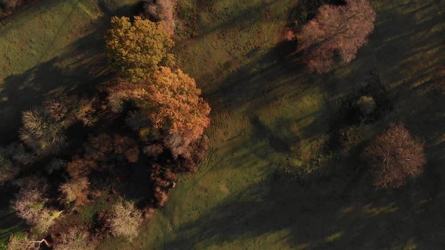 Bird's Eye View Of Parkland and Road On Sunny Autumn Day