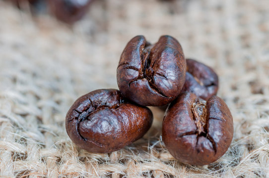 Peaberry coffee beans. Macro. Selective focus.
