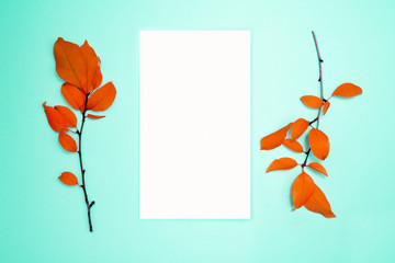 Autumn composition, frame, blank paper. Two branches with orange leaves, plum, on a light blue background. Flat lay, top view, copy space