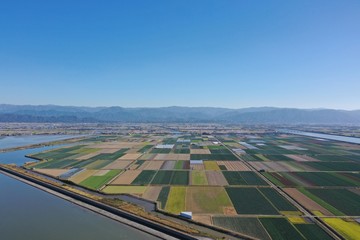 A vast farmland facing the sea