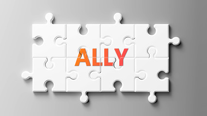 Ally complex like a puzzle - pictured as word Ally on a puzzle pieces to show that Ally can be difficult and needs cooperating pieces that fit together, 3d illustration