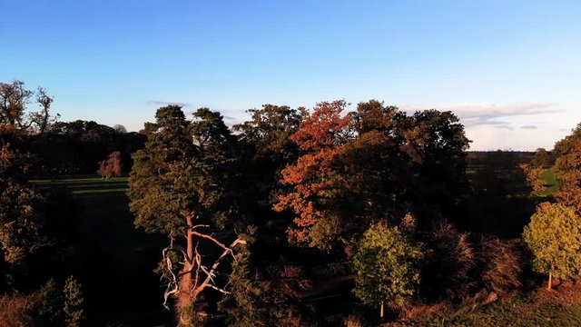 Aerial Landscape Autumn English Countryside Gentile Rise Up And Over Colourful Trees