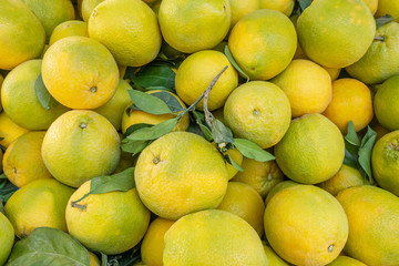ripe juicy grapefruits on the market close up