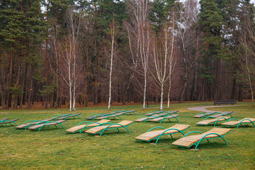 Empty deck chairs on a grassy beach in autumn in the city of Minsk, Belarus.