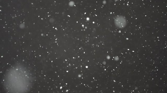 Snow crops slowly falling towards the camera, repeatable