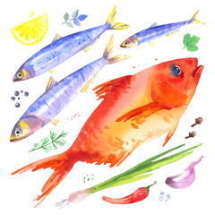 Set with anchovies and red sea bass fish, onion, garlic, lemon, chilli pepper and herbs. Watercolor illustration of seafood dinner