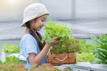 Asian Little child having fun at hydro farm.