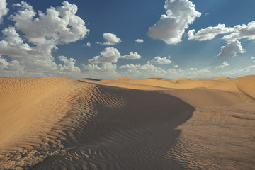 Fototapeta na wymiar boundless sand dunes of the Sahara desert