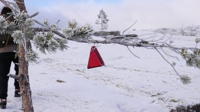 Hiking in the winter landscape to find a geocache box hanging from a tree branch - slow motion