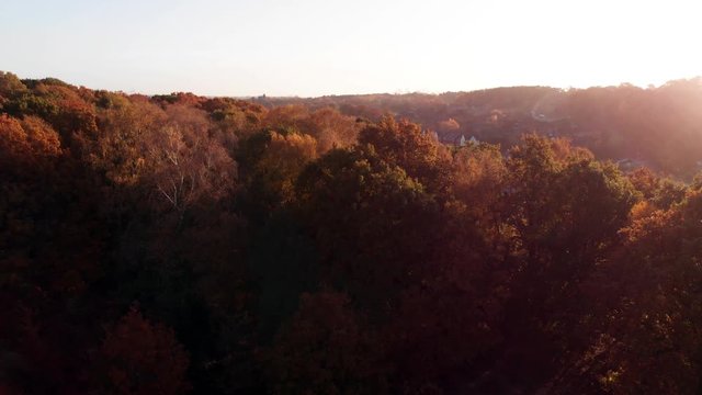 Beautiful Autumn Season Scene Wooded Suburb, Slow Descend Into Wood.