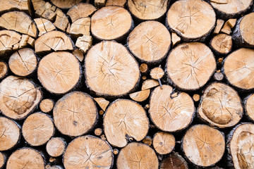 pile of wood put to dry for the winter season