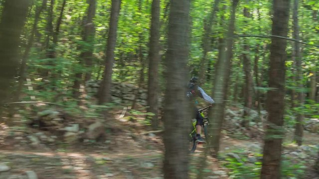 Panning action shot of a mountain biker in a forest on a bright sunny day