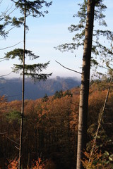 Obraz premium Wanderung durch den Herbstwald zur Burg Montclair