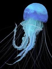 Lighting jellyfish 