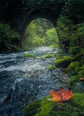 Old stone bridge and flowing river with colorful leaf in foreground